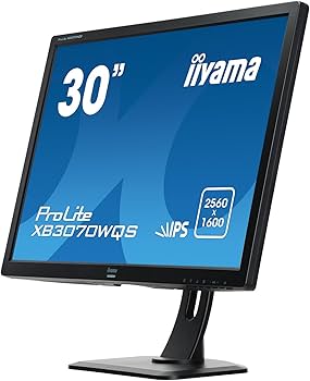 Amazon.co.jp: iiyama ディスプレイ モニター XB3070WQS-B1 30インチ