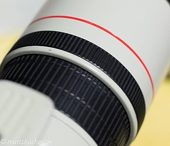 Amazon.co.jp: Canon 単焦点望遠レンズ EF300mm F4L IS USM フルサイズ