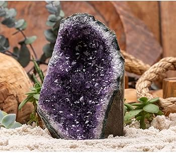 71OHFWB-swL._AC_UF350,