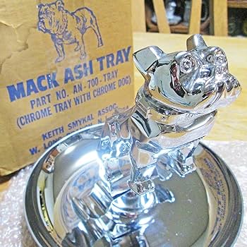 71OZD4SGXpL._AC_UF350,