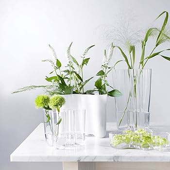 Amazon.co.jp: 【正規輸入品】 iittala(イッタラ) アルヴァ・アアルト