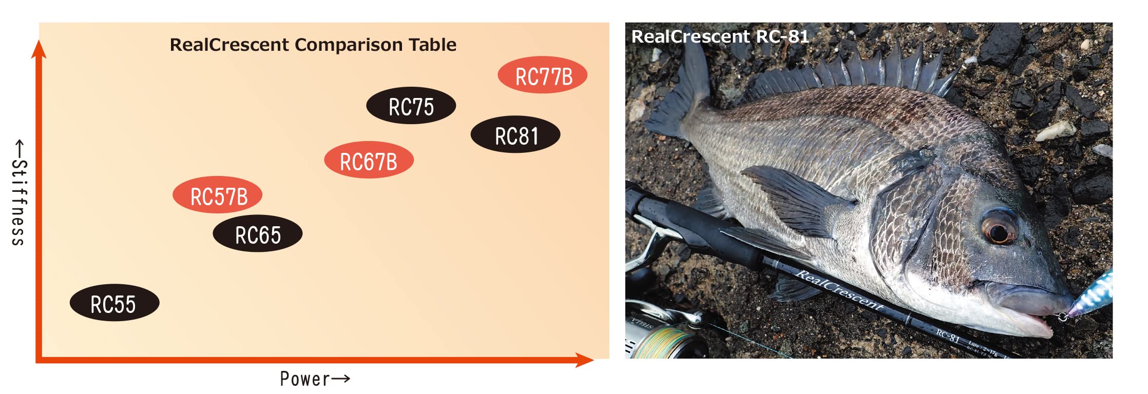 Amazon | RippleFisher RealCrescent RC-65/S/リップルフィッシャー
