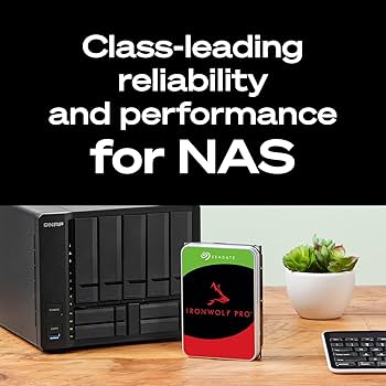 Amazon.com: Seagate IronWolf Pro, 12 TB, Enterprise NAS Internal