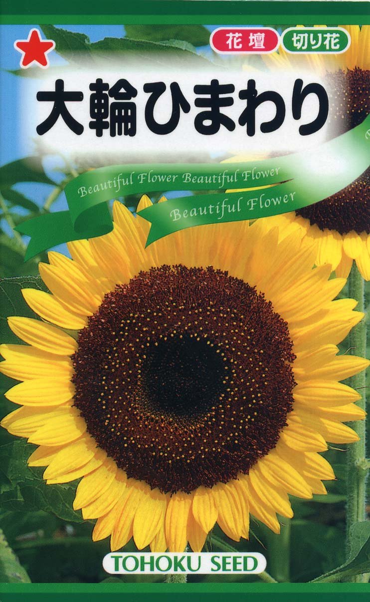 Amazon | 株式会社トーホク 大輪ひまわり 00735 | 花