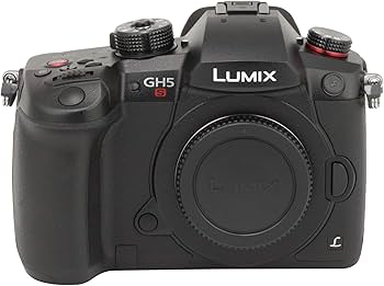 Amazon.co.jp: パナソニック ミラーレス一眼カメラ ルミックス GH5S