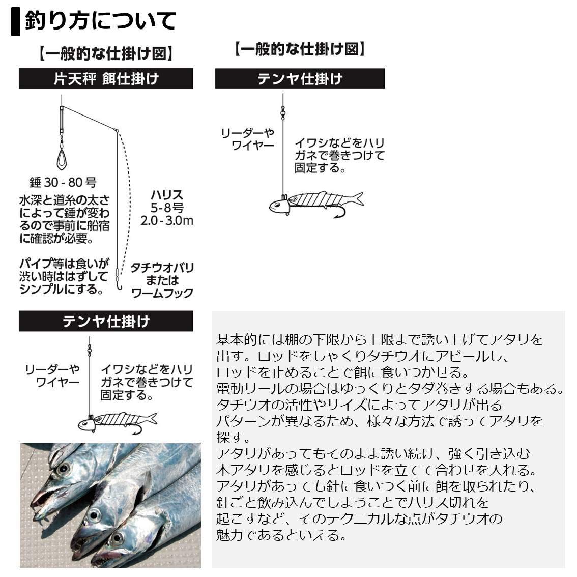 Amazon | ダイワ(DAIWA) 船竿 タチウオ X ML-190・R 釣り竿 | ダイワ