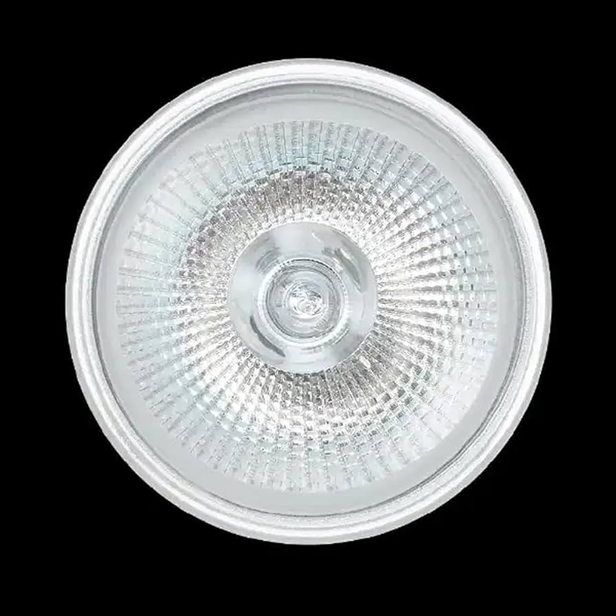 Amazon | ヤザワコーポレーション エコクール ハロゲンシャイン 75W形