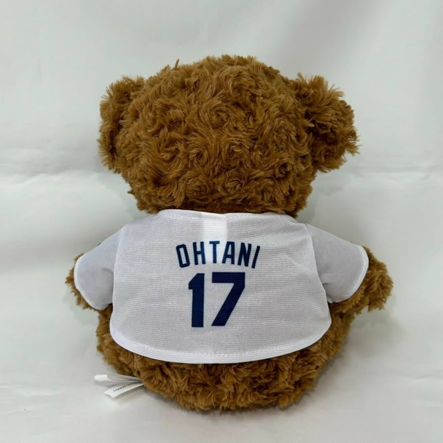 71iHPFzh8YL._AC_UF894,