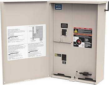 Amazon.com : Champion 22,000-Watt Dual Fuel (Liquid Propane