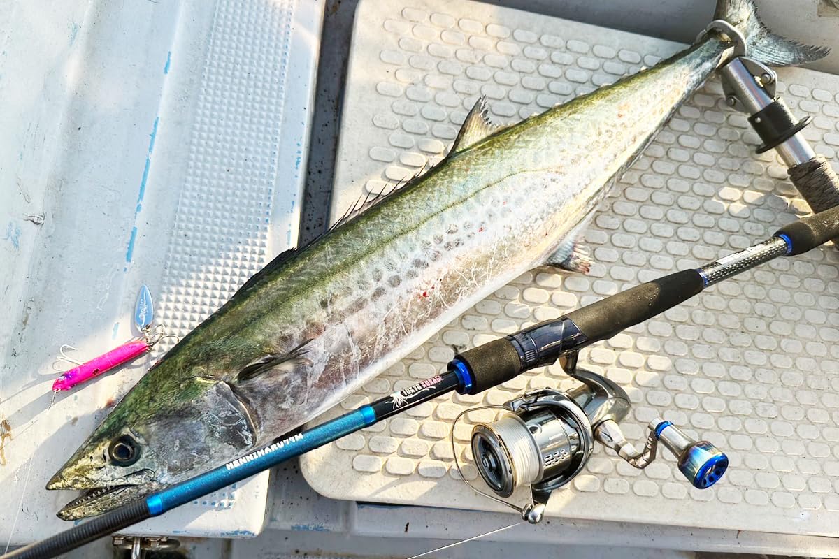 Amazon | ブルーブルー オフショアロッド 東京クラゲ ヘンニハル 77M