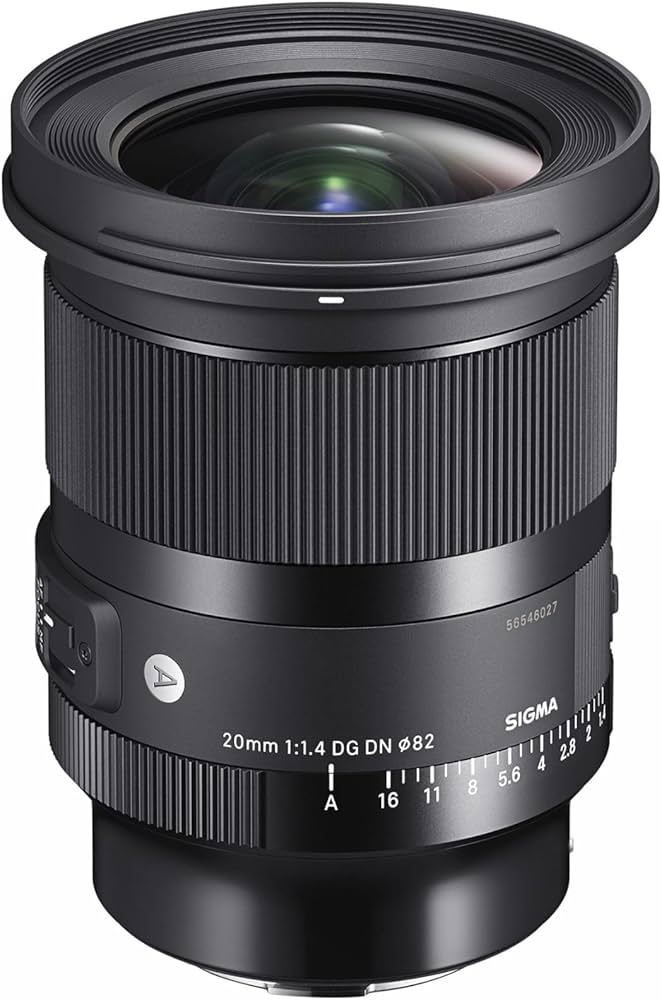 Amazon.com : Sigma 20mm f/1.4 DG DN Art Lens for L Mount : Electronics