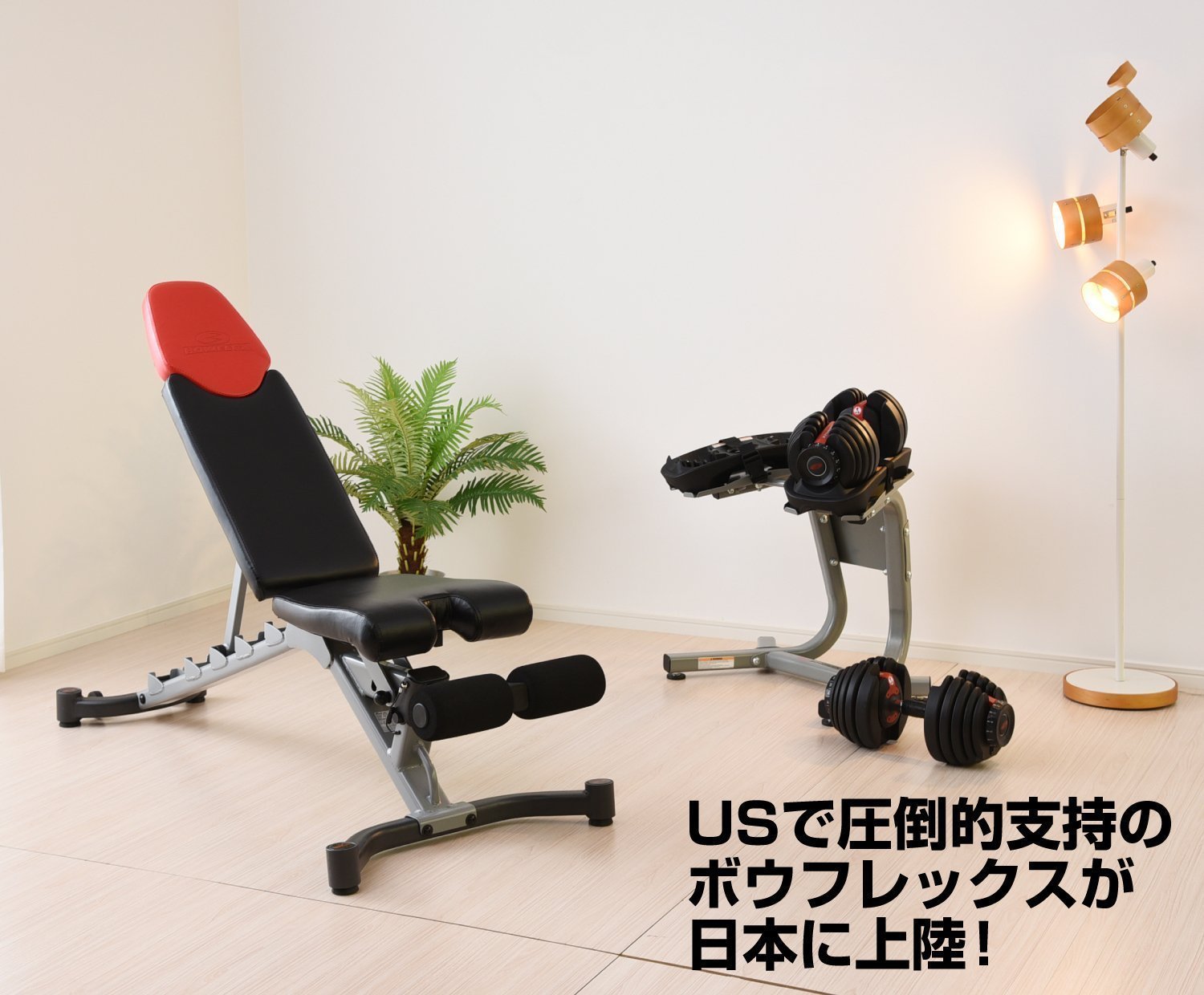 Amazon.co.jp: Bowflex(ボウフレックス) 5.1 アジャスタブルベンチ 6