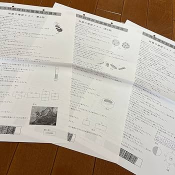 Amazon.co.jp: サピックス SS特訓 単科理科 知識の確認テスト 全14回