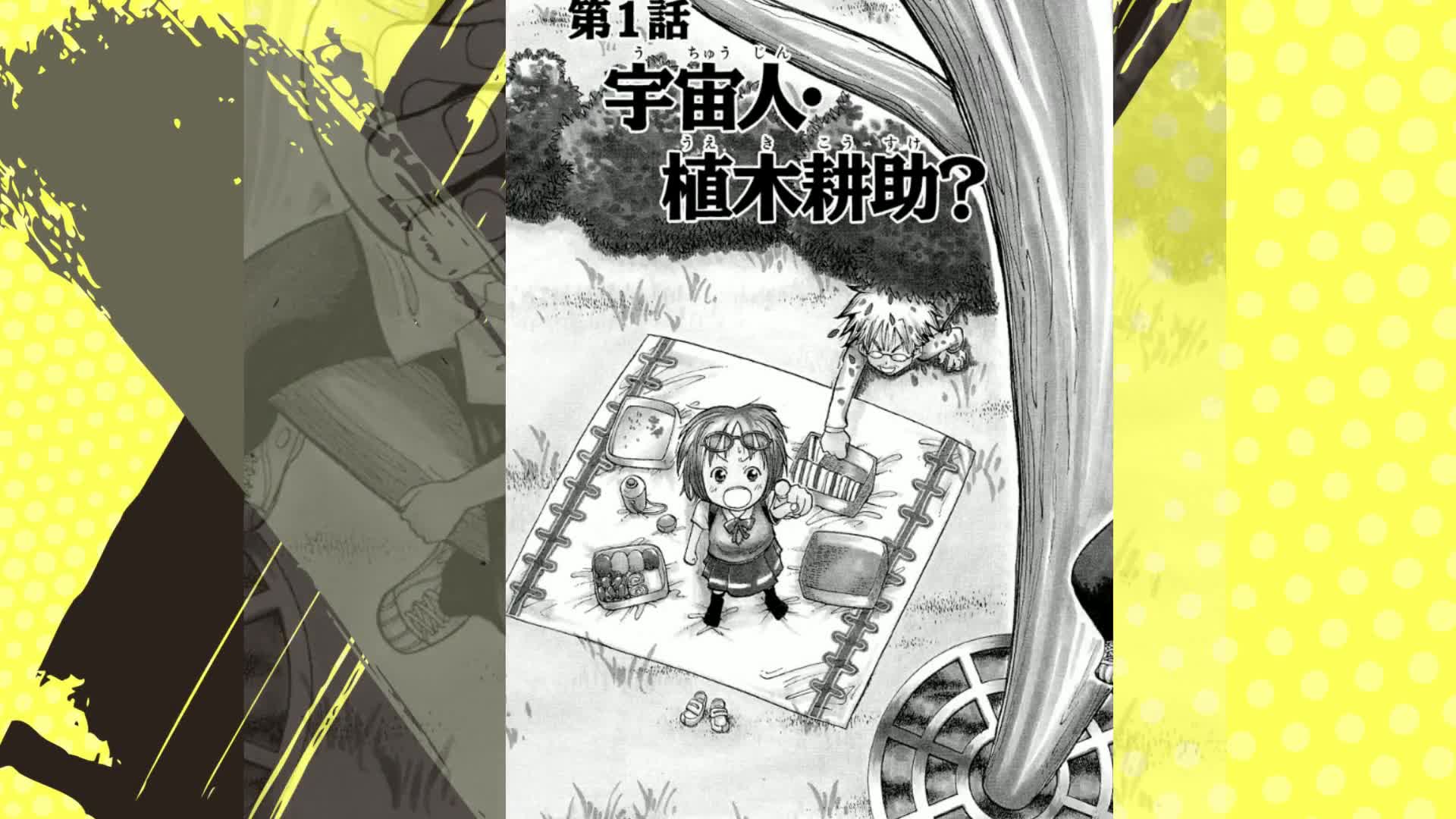 うえきの法則 1 (1) (少年サンデーコミックス) | 福地 翼 |本 | 通販