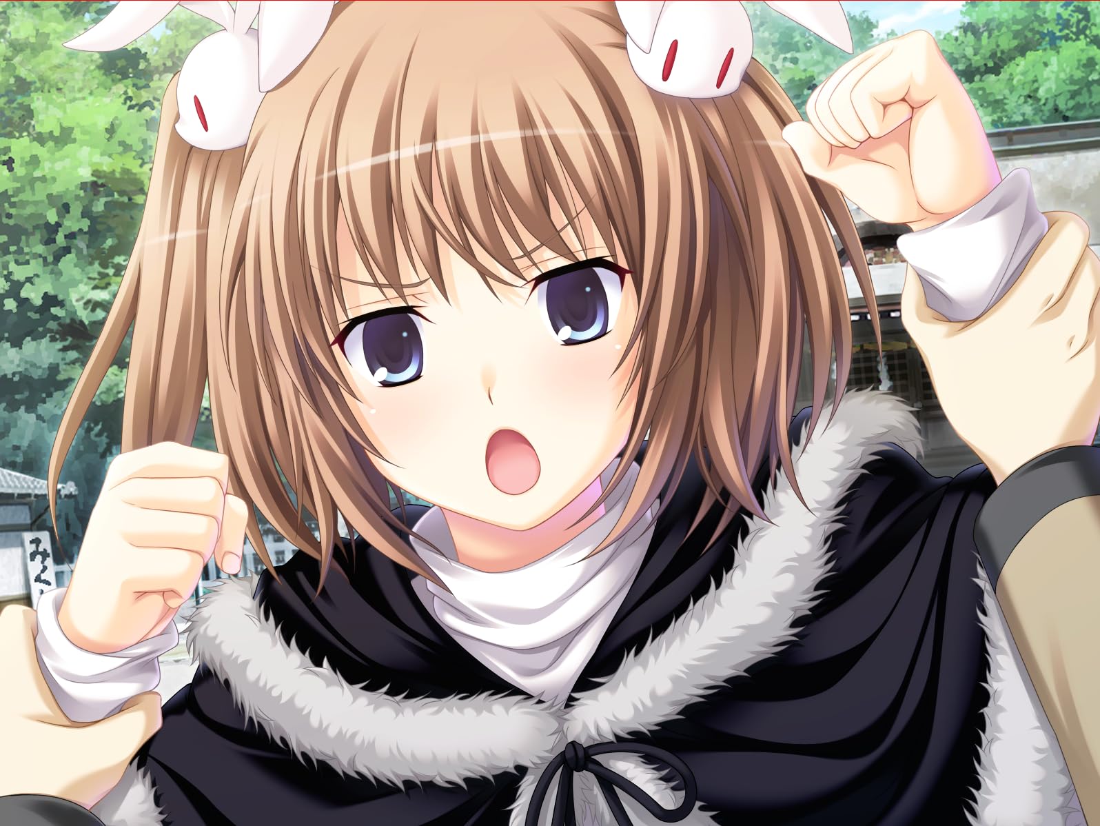 Amazon.co.jp: ねこにゃんベストコレクション~ビタスマ・カフェコレ