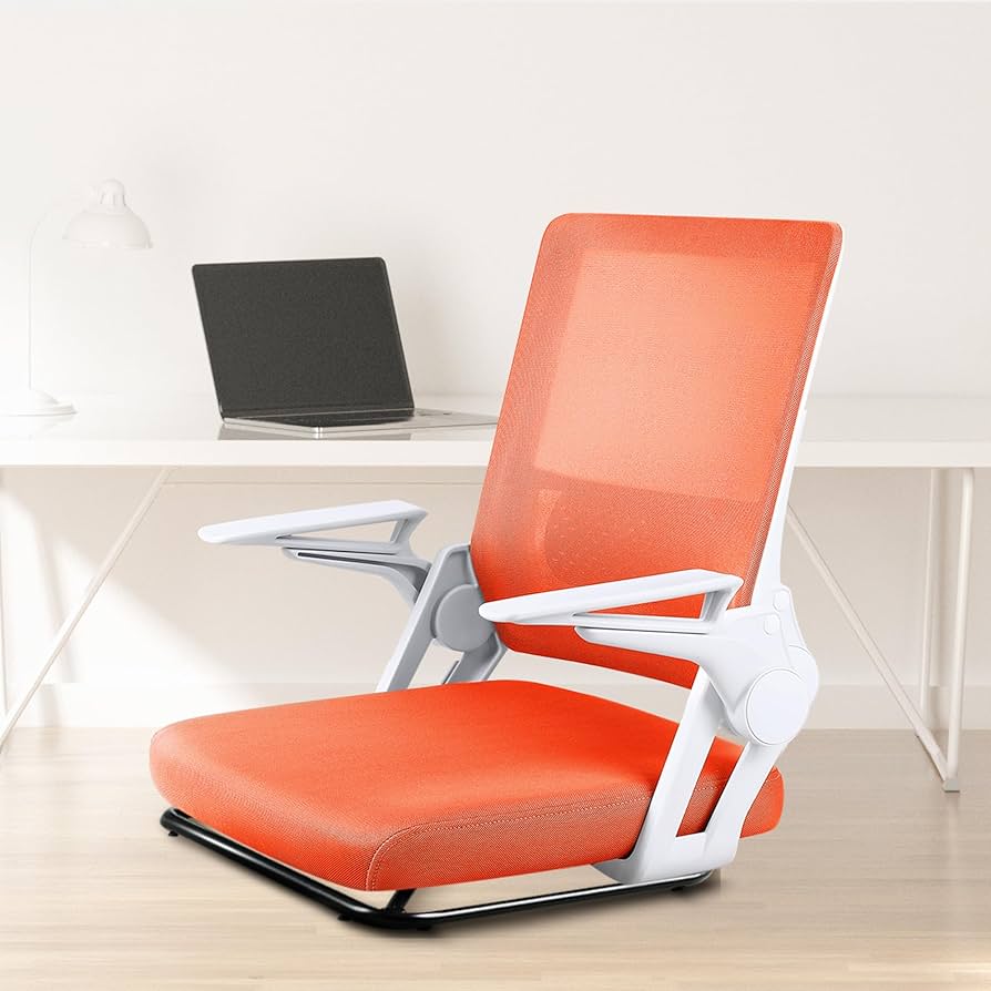 Amazon｜【FQ】Dowinx 座椅子 腰が痛くならない メッシュ コンパクト