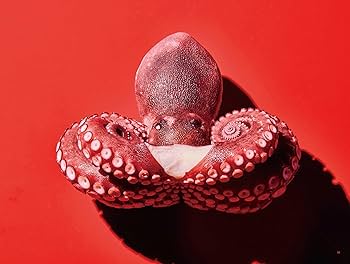 たこ88 | 樟 陽介, 西部裕介 |本 | 通販 | Amazon