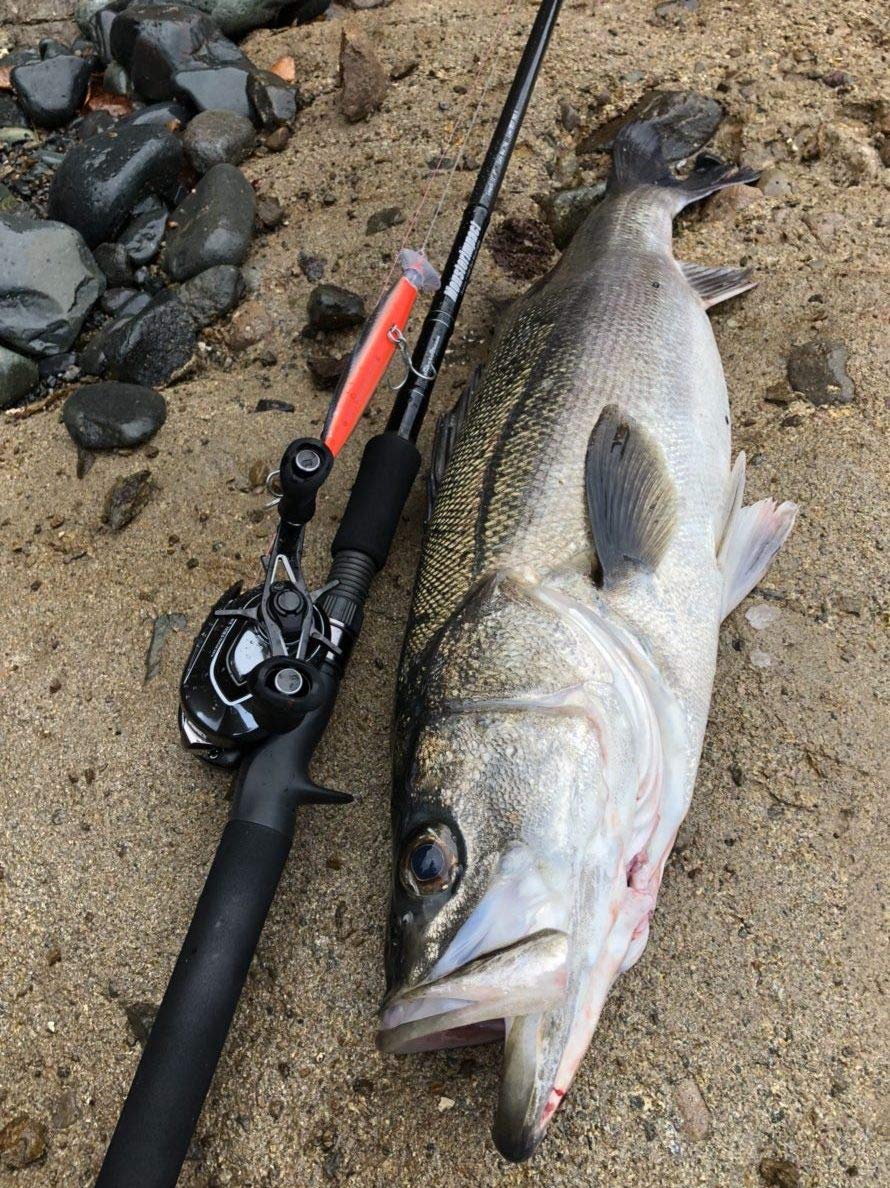 Amazon | RippleFisher MonsterImpact 90H / リップルフィッシャー