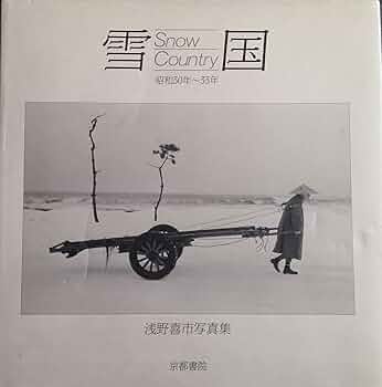 817pA01Oi-L._AC_UF350,