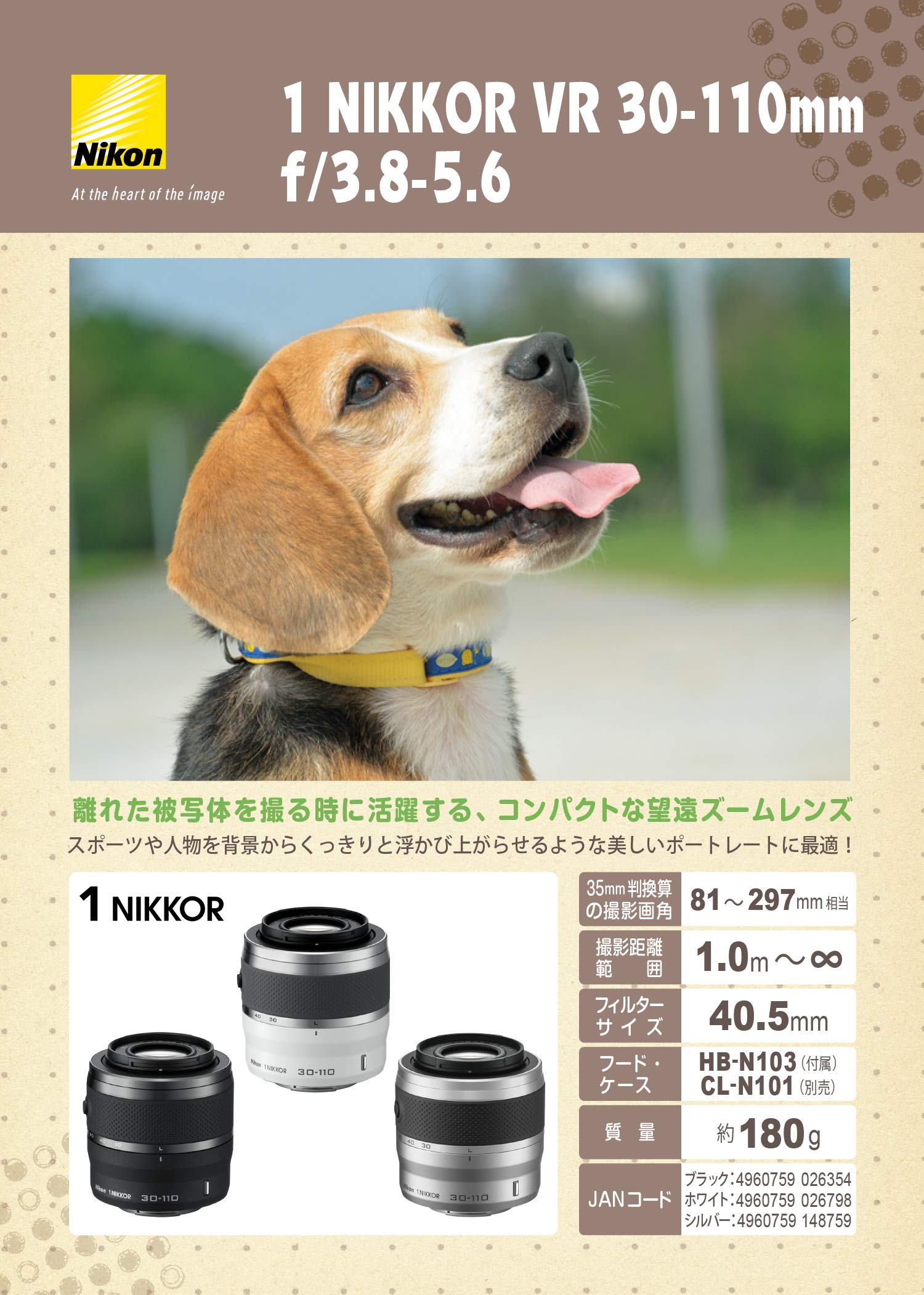 Amazon.co.jp: Nikon 望遠ズームレンズ 1 NIKKOR VR 30-110mm f/3.8