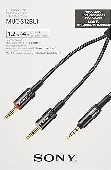 81+aqJ0BJ4L._AC_UF350,