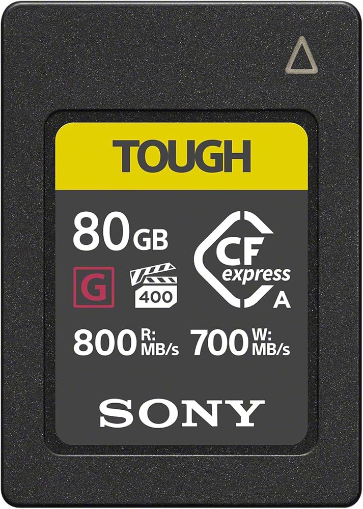 Amazon.com: Sony CEA-G80T 80GB CFexpress Type A Memory Card