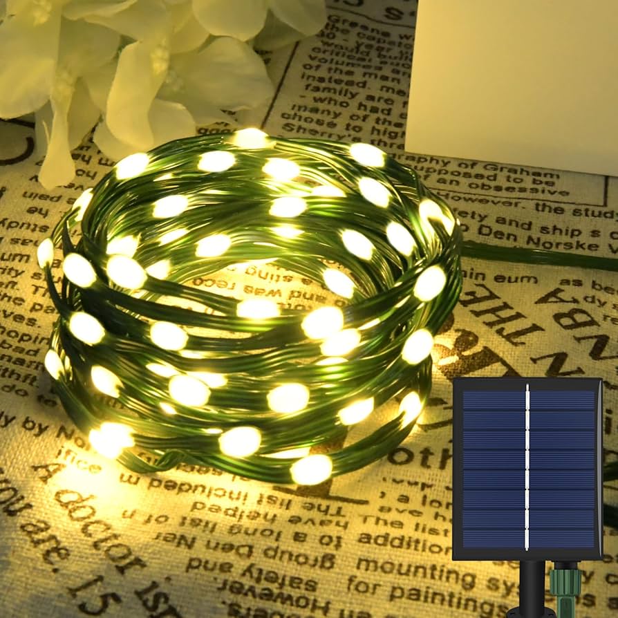 Amazon.co.jp: 【大玉ビーズ】Dalugo LED イルミネーションライト