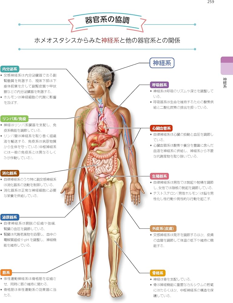 人体の構造と機能 第5版 | エレイン N. マリーブ, スザンヌ M. ケラー