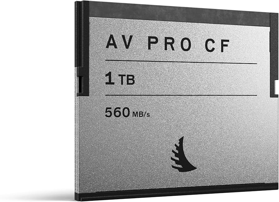 Amazon.co.jp: Angelbird（エンジェルバード）AV PRO CF 1 TB