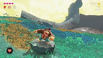 Amazon.co.jp: ドンキーコング バナンザ -Switch2 : ゲーム