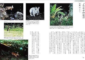 山の本 120号 | 山の本編集部 |本 | 通販 | Amazon