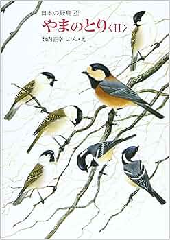 Amazon.co.jp: やまのとり 2 (薮内正幸・日本の野鳥4【ハードカバー版