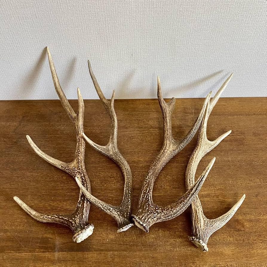 Amazon.co.jp: 大きめの鹿の角4本セット鹿角ディスプレイ飾りオブ