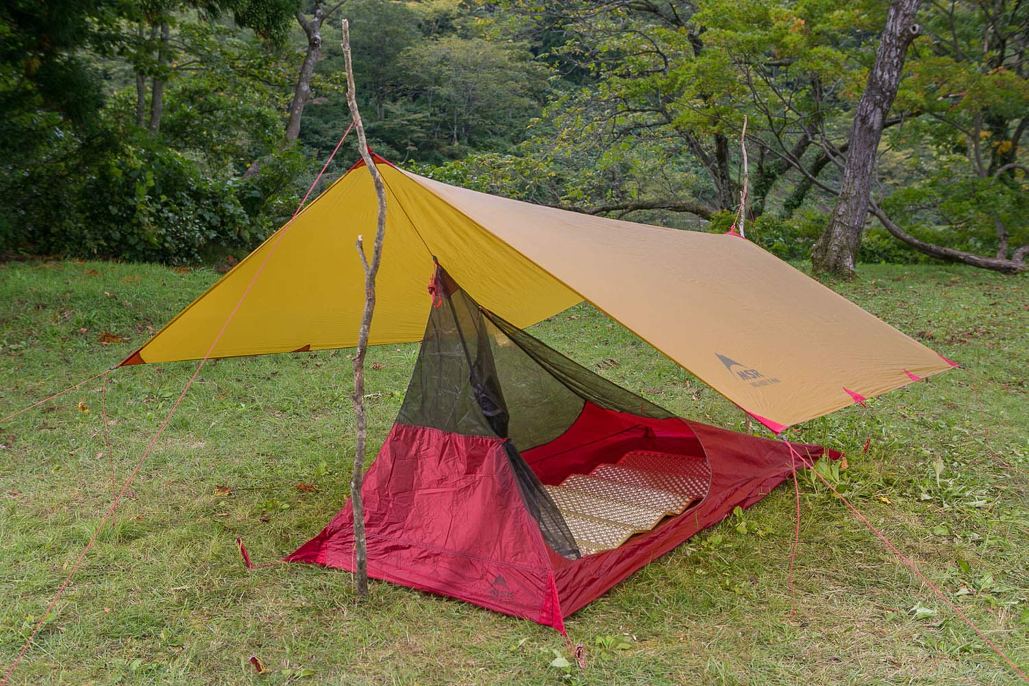 Amazon | MSR アウトドア タープ スルーハイカー 70 ウィング (2~3人用