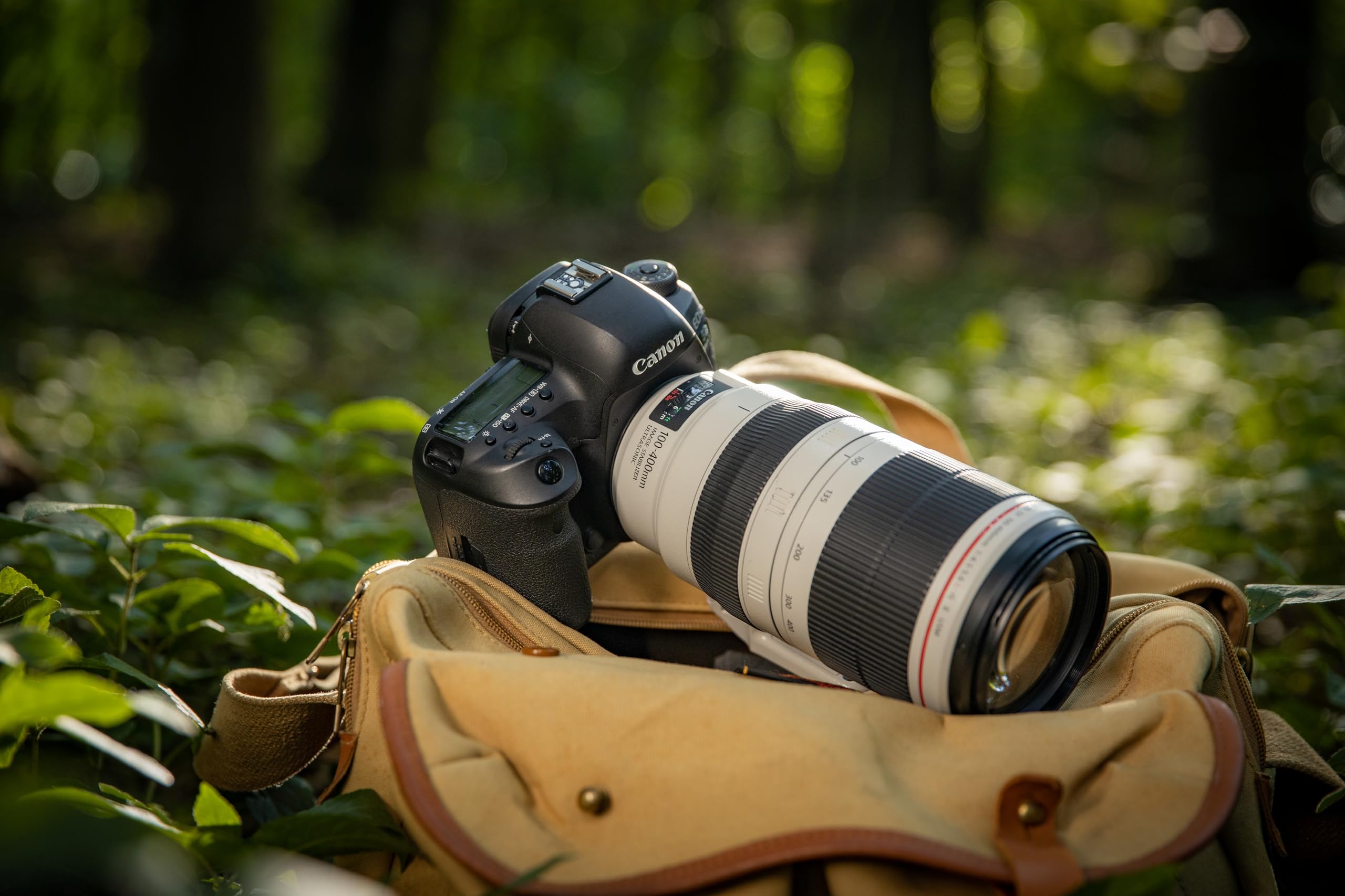 Amazon.co.jp: EF100-400mm F4.5-5.6L IS II USM : 家電＆カメラ