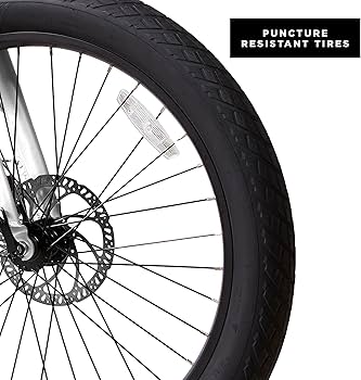 Amazon.co.jp: ラジオフライヤー フライヤー ロングテール電動自転車