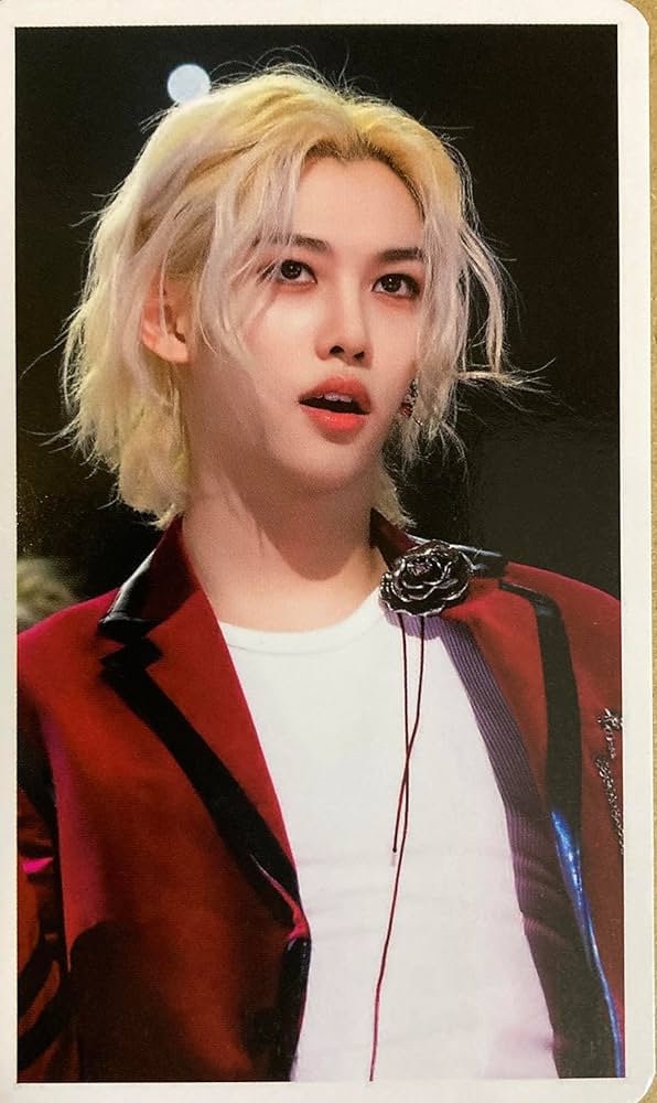 Amazon.co.jp: フィリックス グッズ フォトカード 60枚セット ポカ