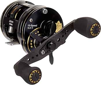 81LMy+lZgrL._AC_UF350,