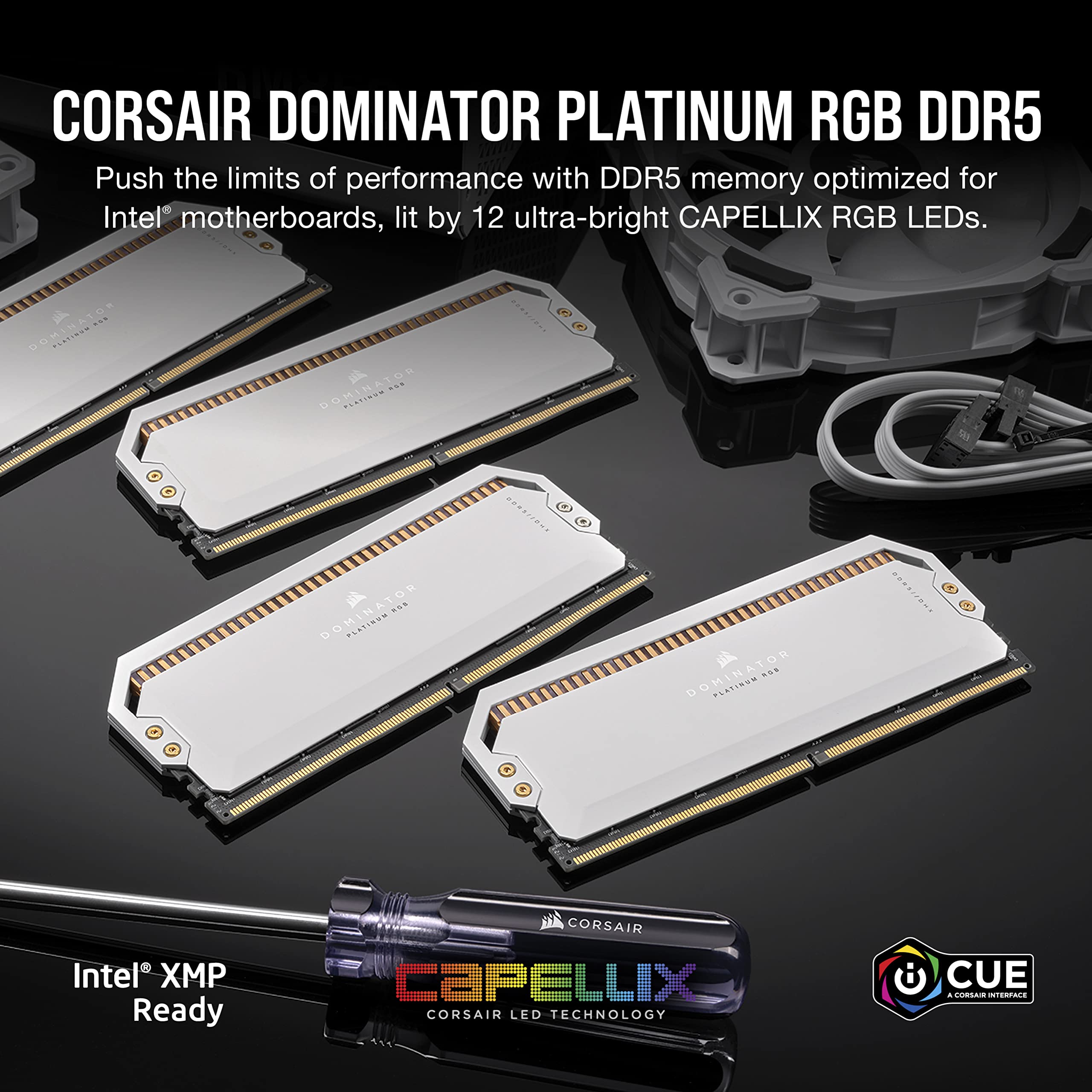 Amazon.co.jp: Corsair (コルセア) Dominator Platinum RGB DDR5 64GB