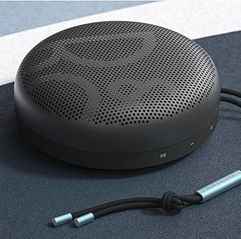 Amazon.com: Bang & Olufsen Beosound A1 (2nd Generation) Wireless