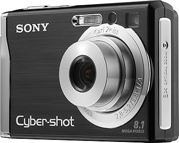 Amazon.com : Sony Cybershot DSCW90 8.1MP Digital Camera with 3x