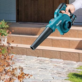 81V0Oc7NxuL._AC_UF350,