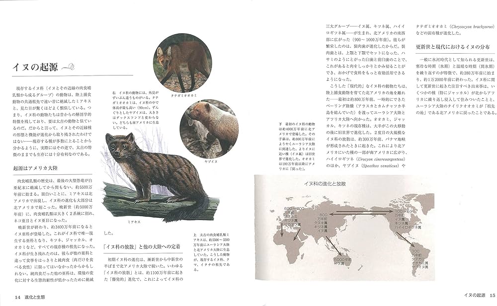 イヌの博物図鑑 | アーダーム・ミクローシ, 小林 朋則 |本 | 通販 | Amazon