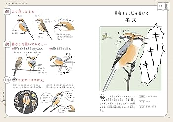 まだまだ!意外と知らない鳥の生活 | piro piro piccolo |本 | 通販