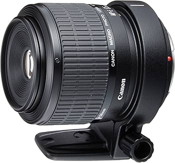 Amazon.co.jp: Canon 単焦点マクロレンズ MP-E65mm F2.8 1-5Xマクロ