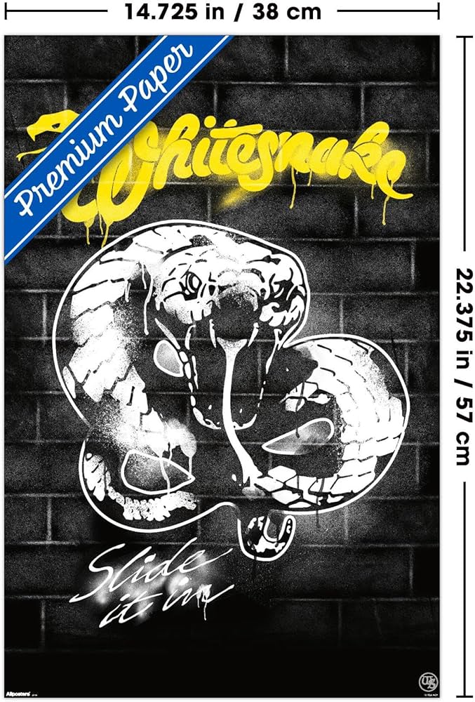 81ipotjZcTL._AC_UF894,