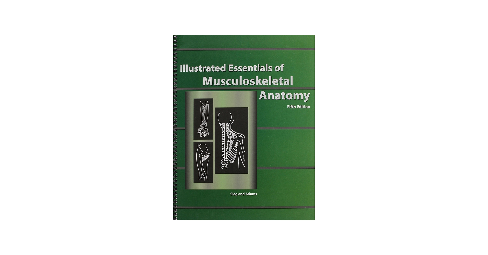 Illustrated Essentials of Musculoskeletal Anatomy: Sieg, Kay W