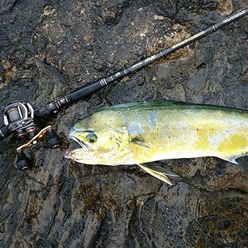 Amazon | アブガルシア(Abu Garcia) ショアジギング ロッド ベイト