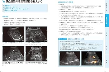 81na6gj5-2L._AC_UF350,