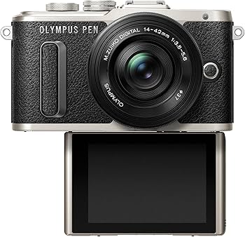 Amazon | OLYMPUS ミラーレス一眼 E-PL8 EZ ダブルズームキット